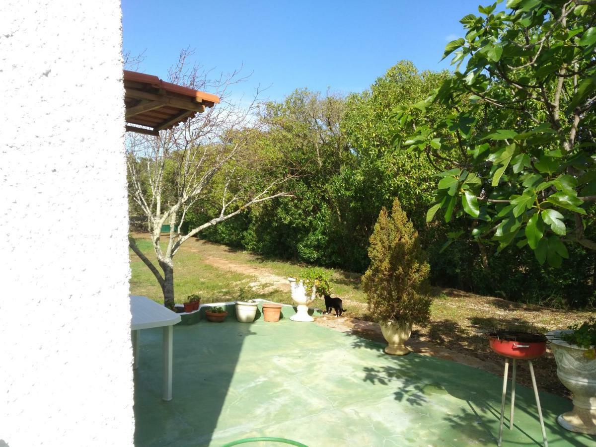 Nature Houses Lagos