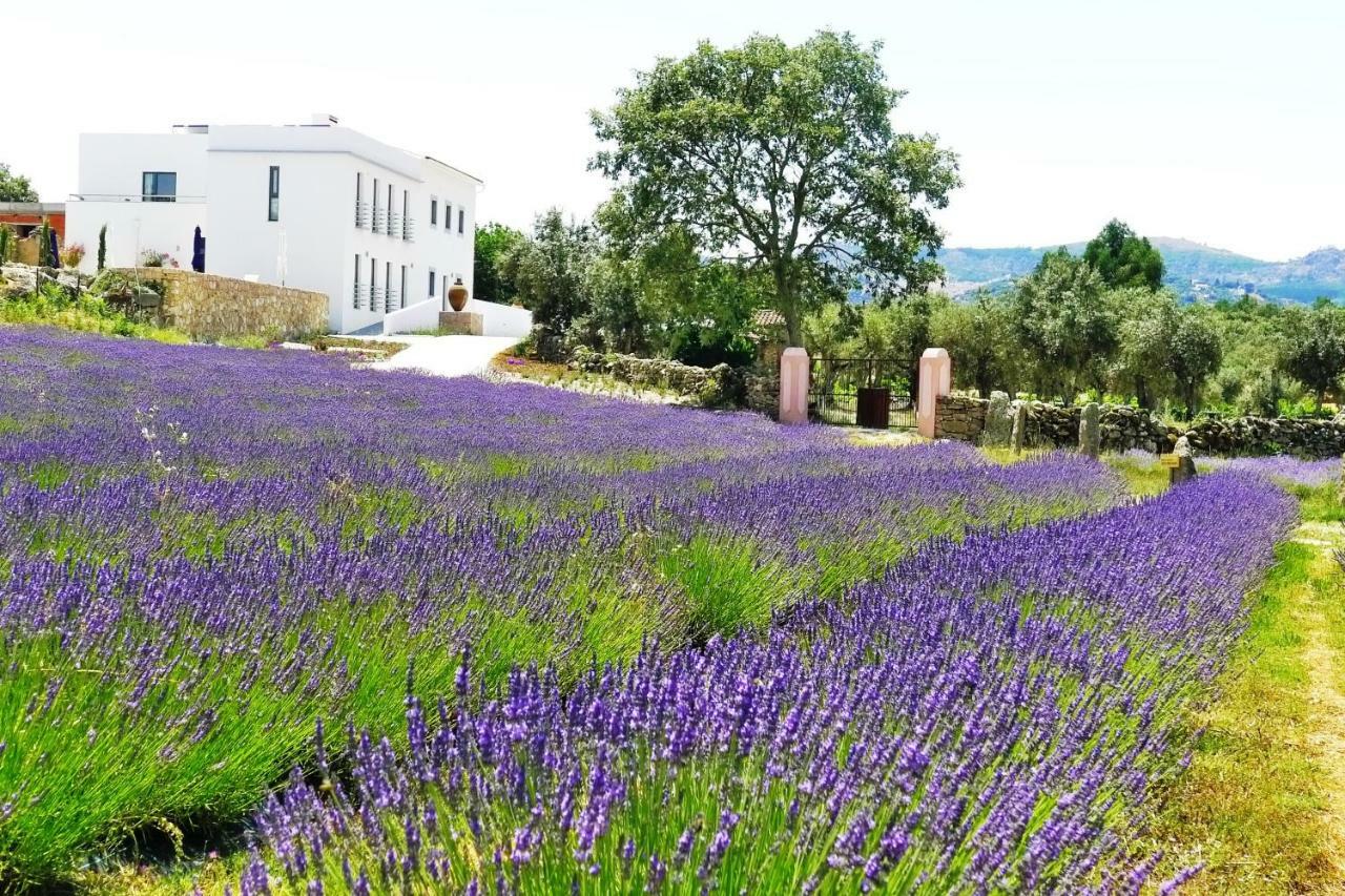 Quinta Lavandas Farm stay *