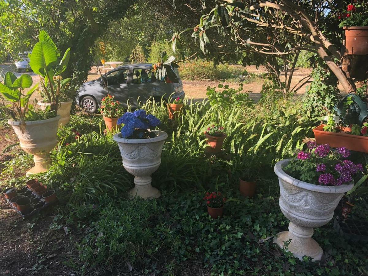 Nature Houses Lagos