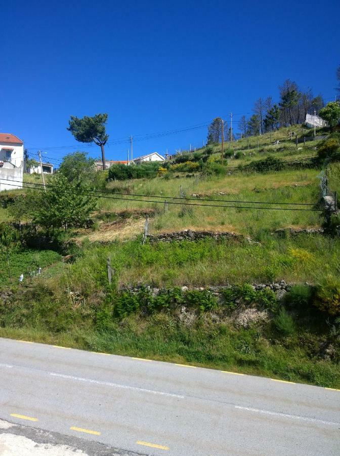 Monte Estrela