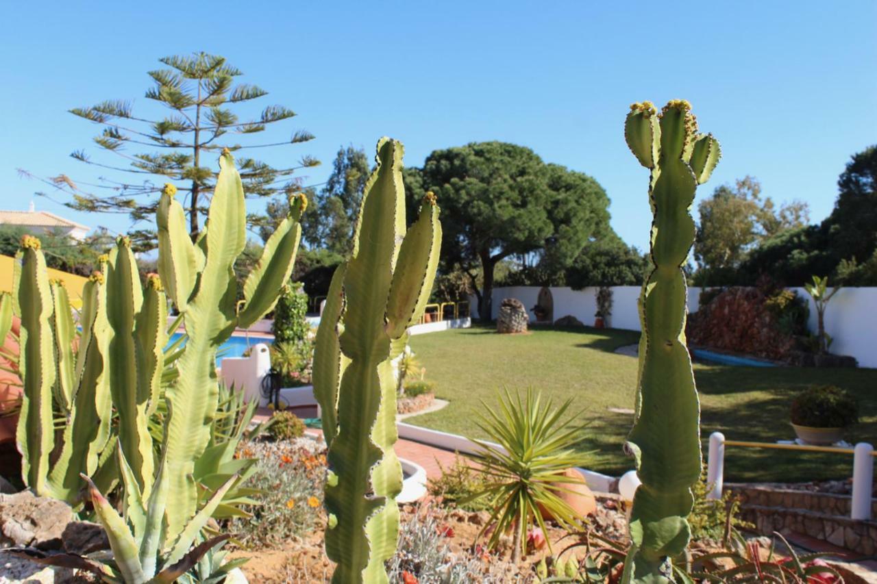 Casa Areias Boutique Apartment