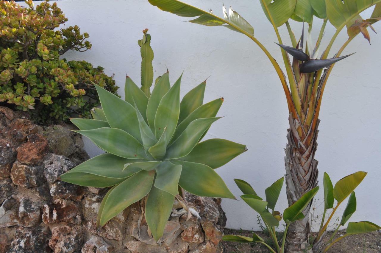 Casa Areias Boutique