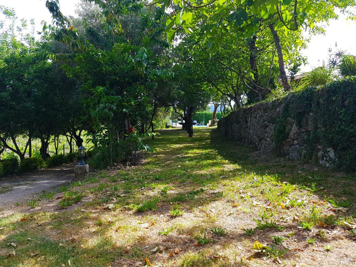 Quinta Da Penela Vieira do Minho