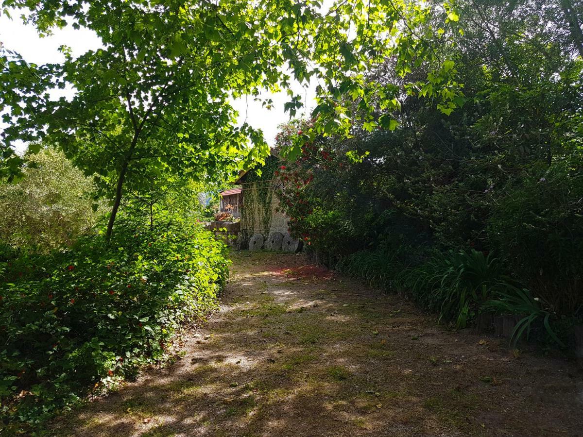 Quinta Da Penela * Vieira do Minho