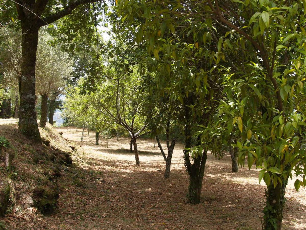 Quinta Geres Holiday park