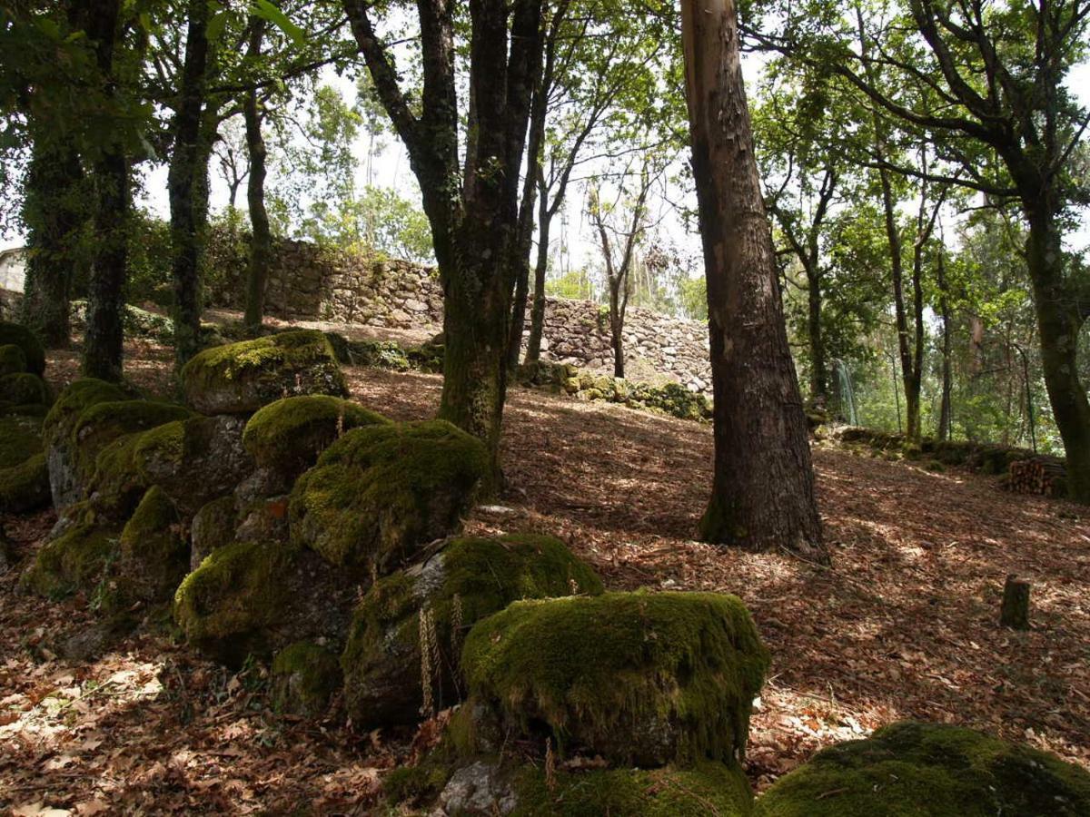 Quinta Geres *