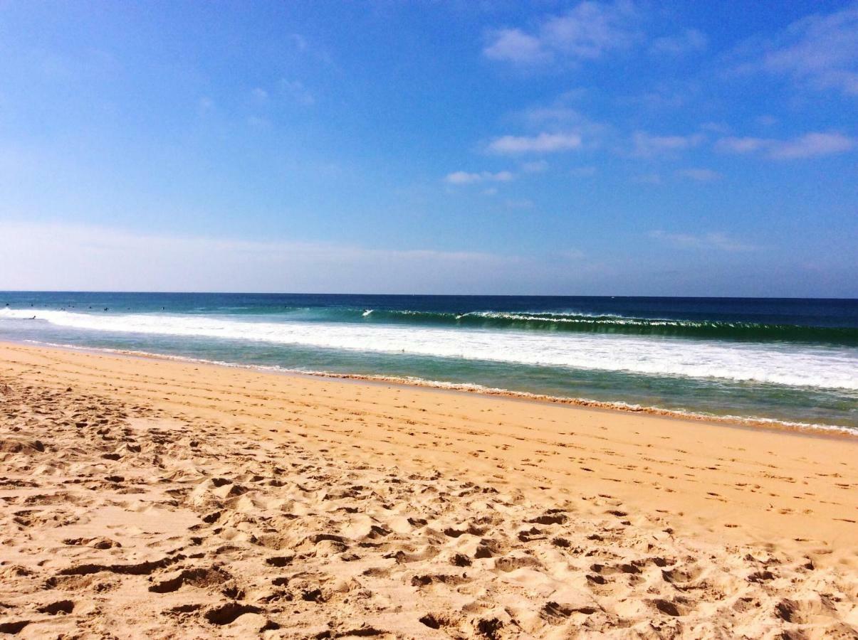Freesurfcamp &