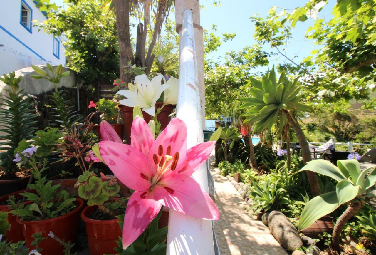 Quinta Do Canavial Guest house Velas