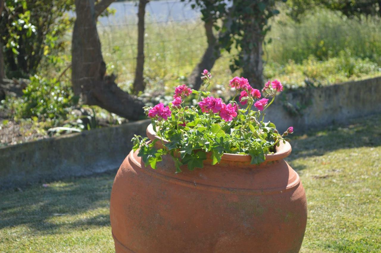 Bed & Breakfast Casalinho De Santo Antonio Sintra