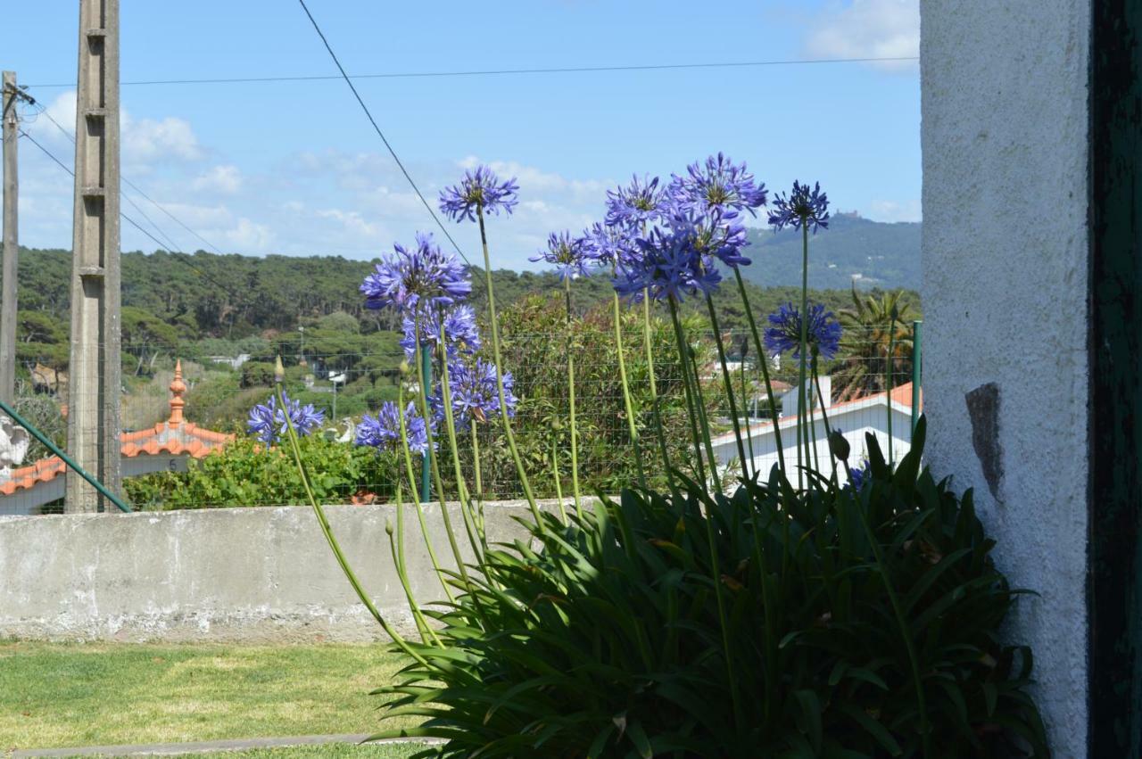 Casalinho De Santo Antonio *