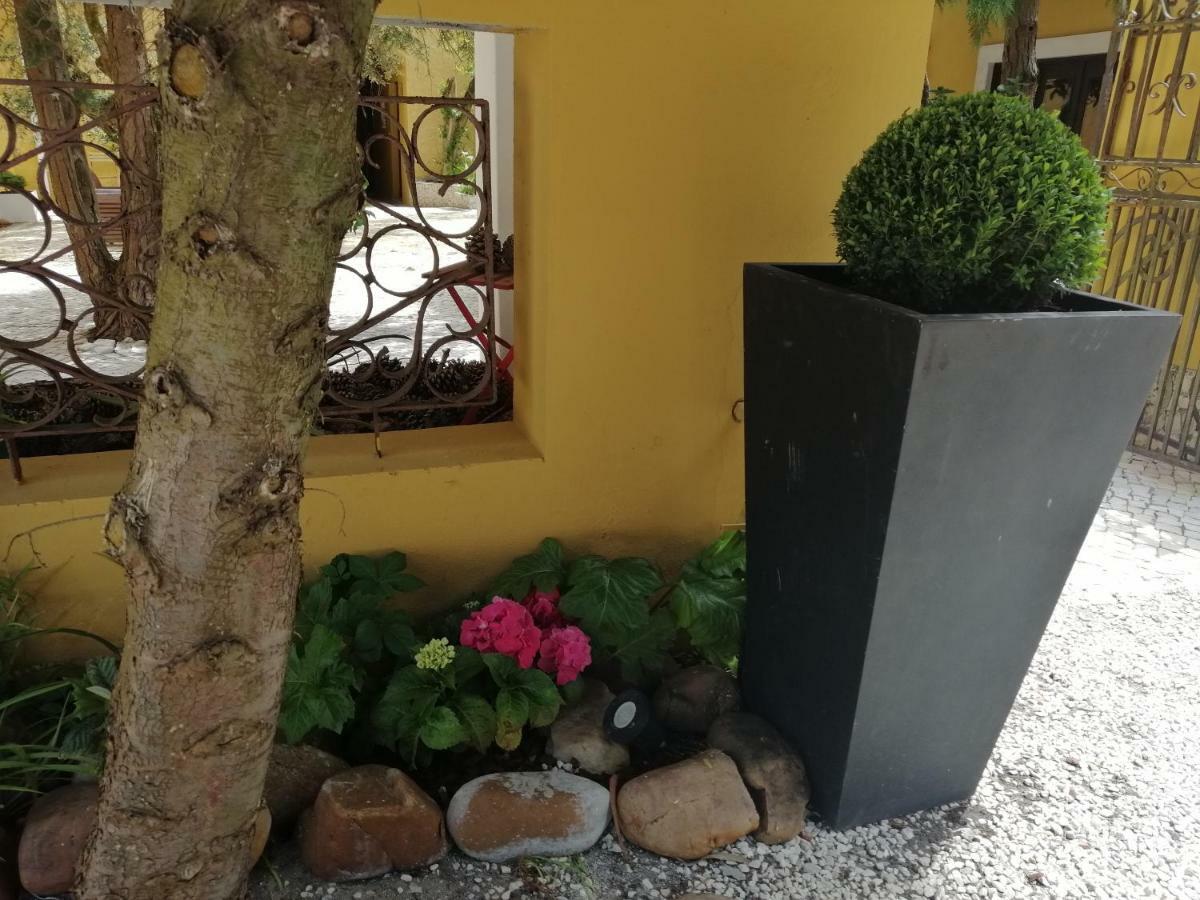 Country house Colmeal Mira (Coimbra)