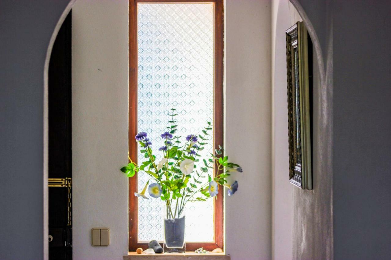 38, Gaivota