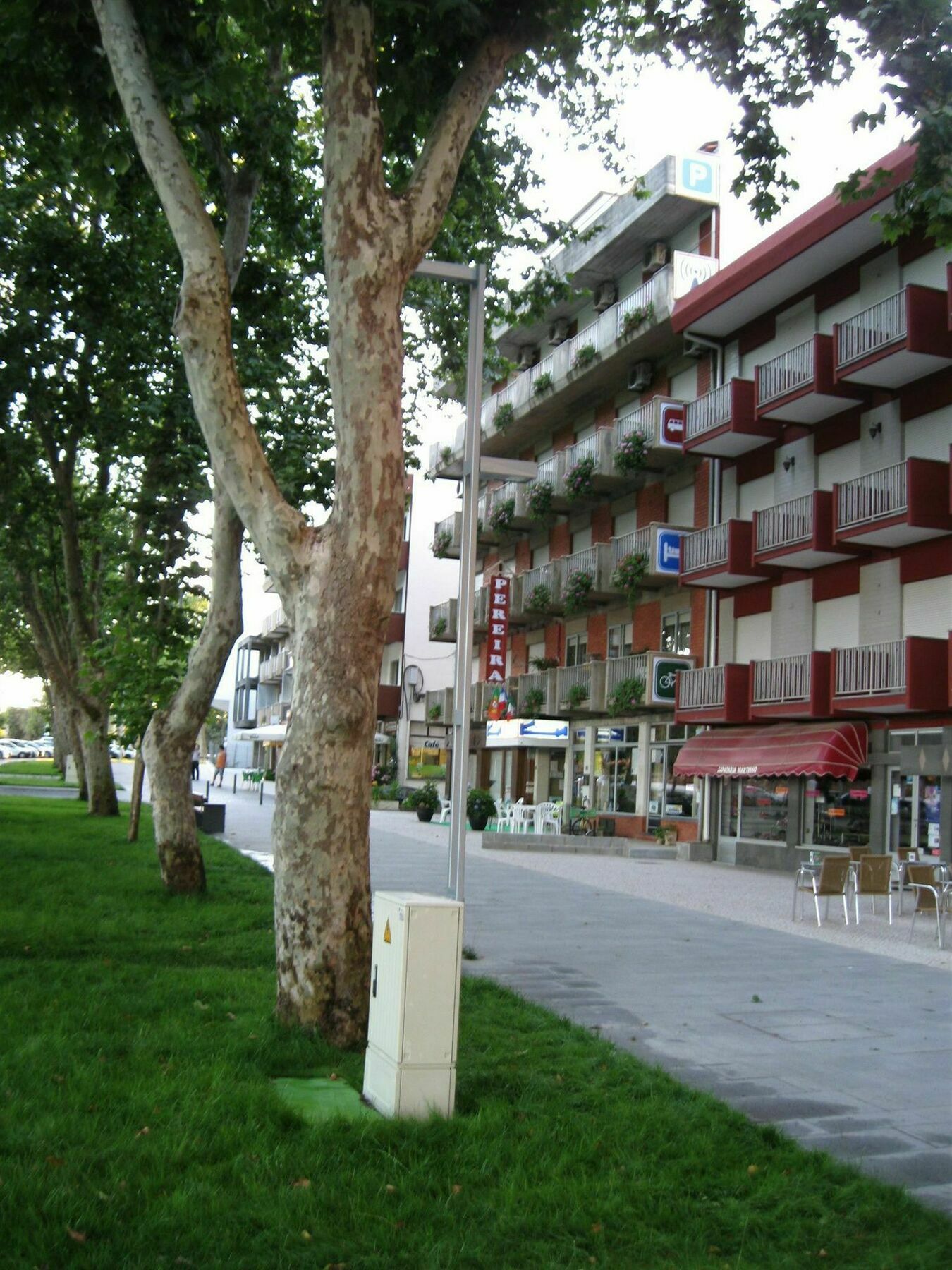 Pereira Fatima