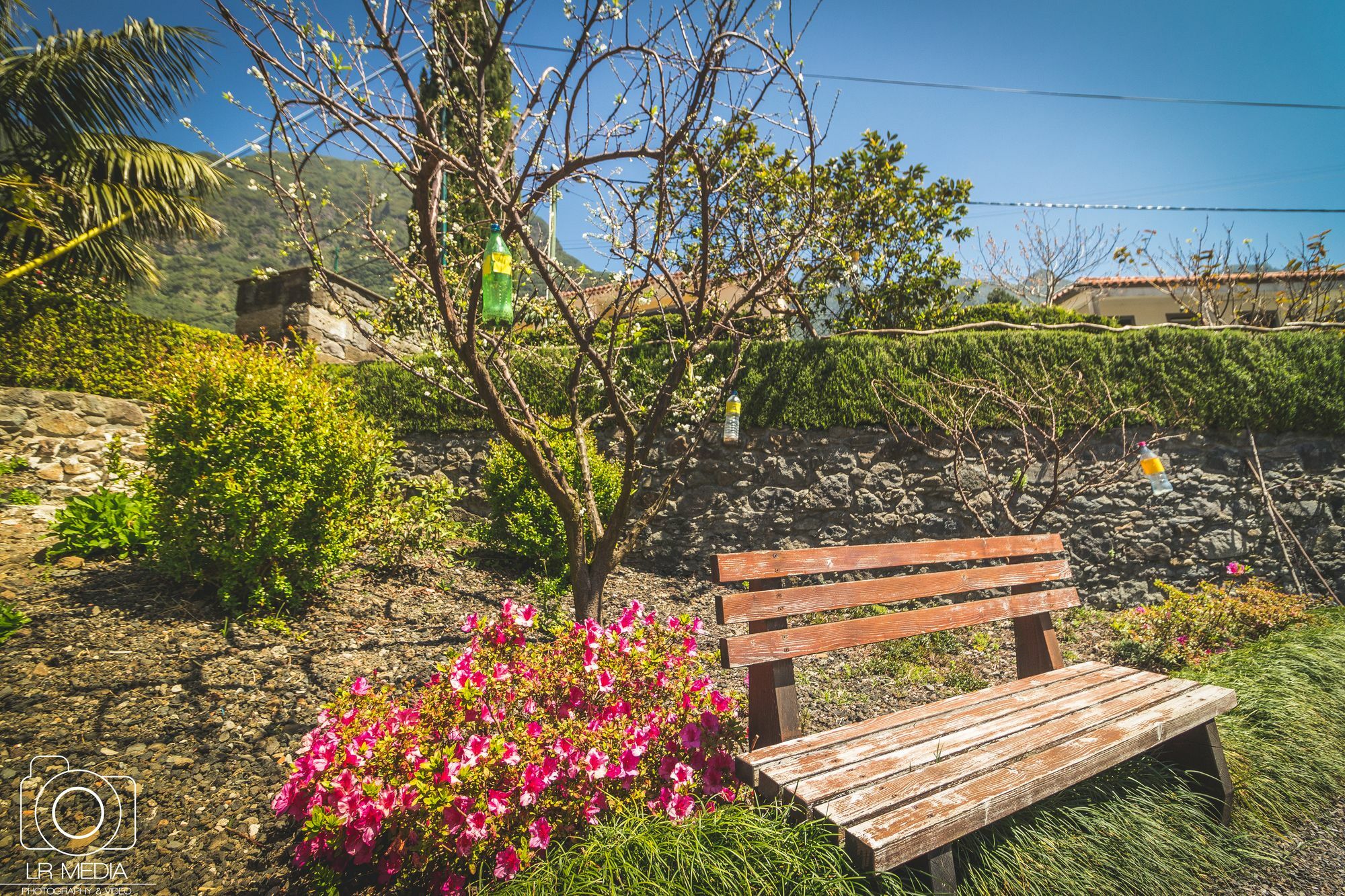 Guest house Solar Da Bica