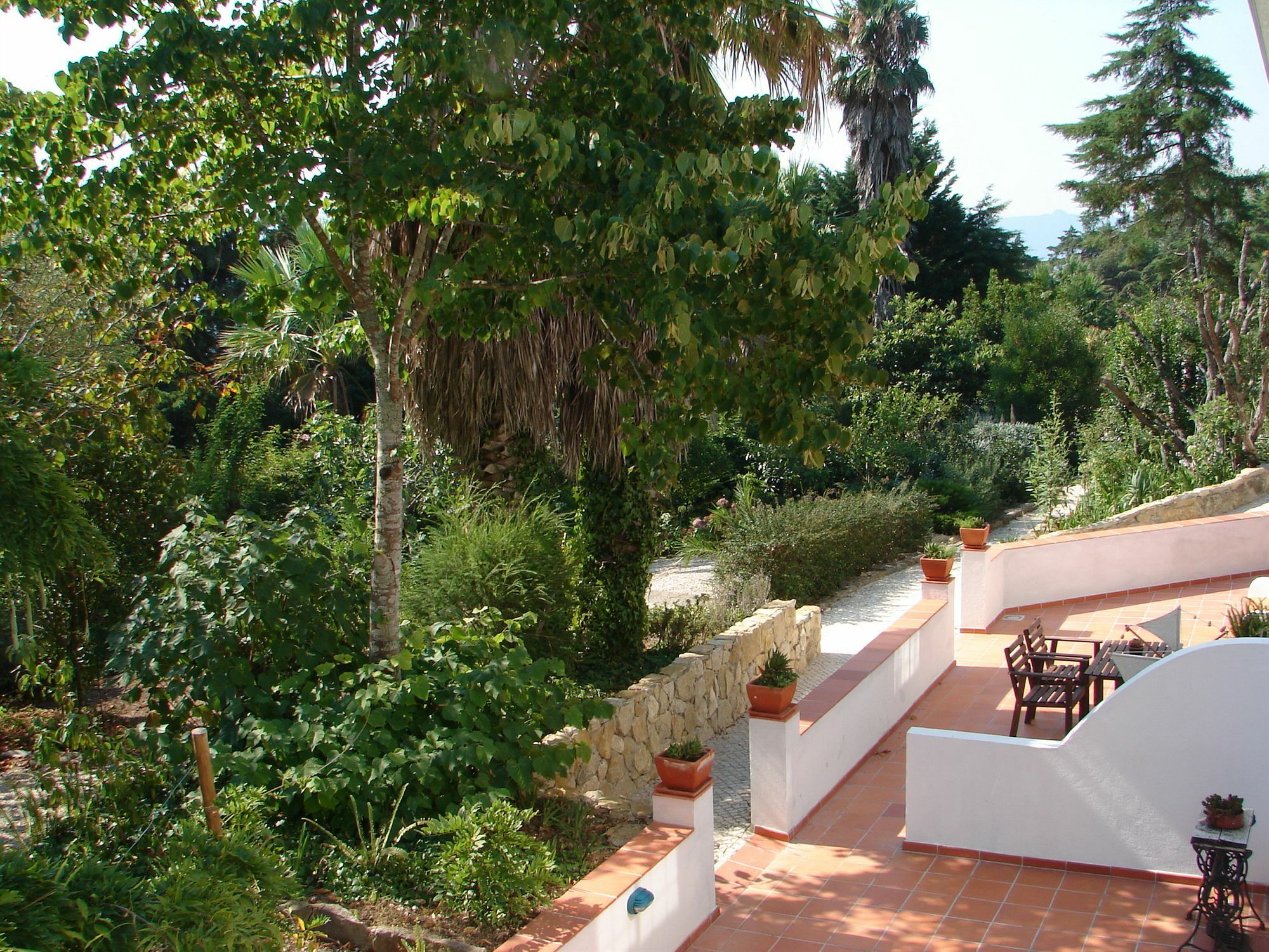Quinta - * Sintra