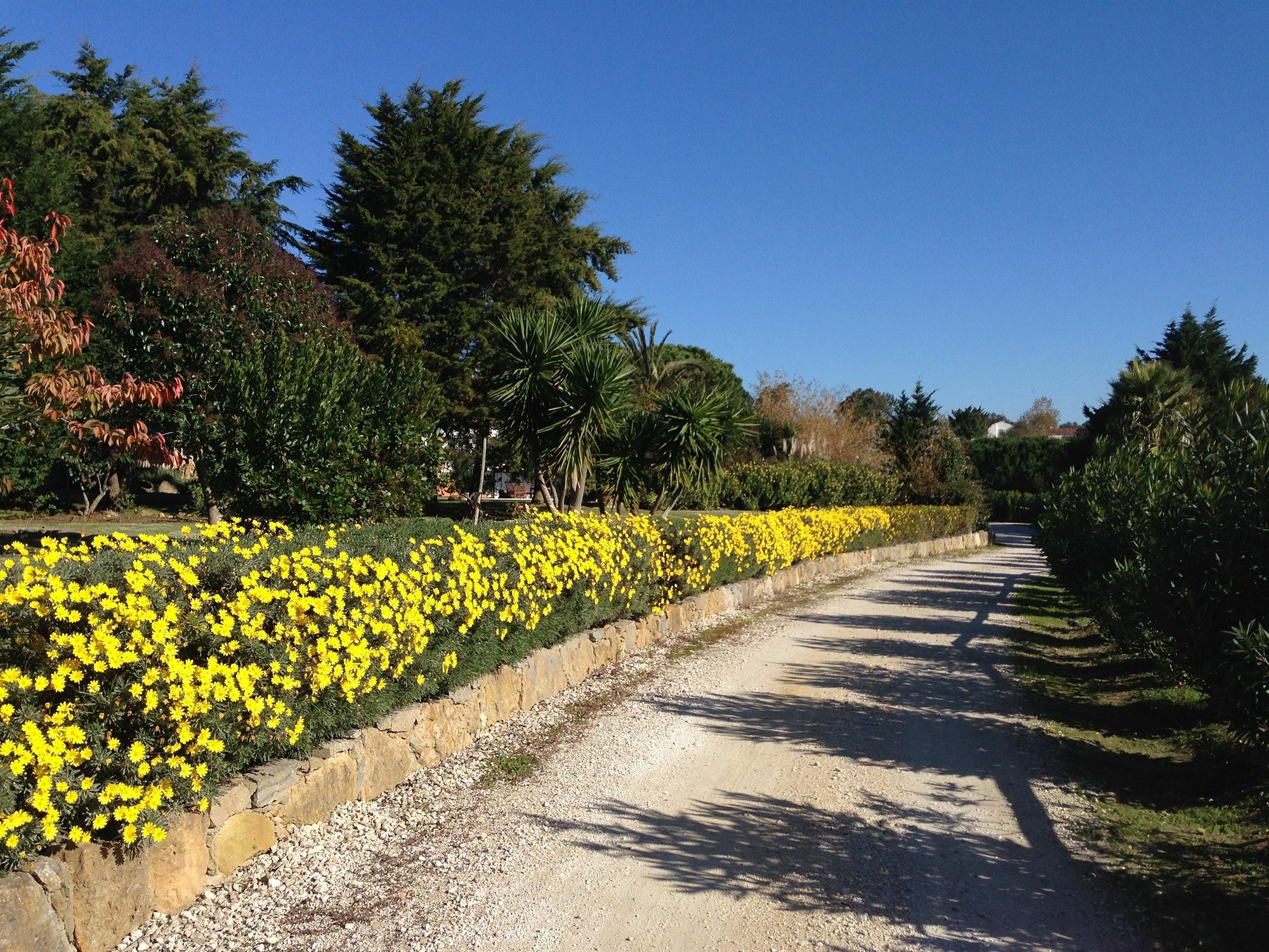 Country house Quinta - Sintra