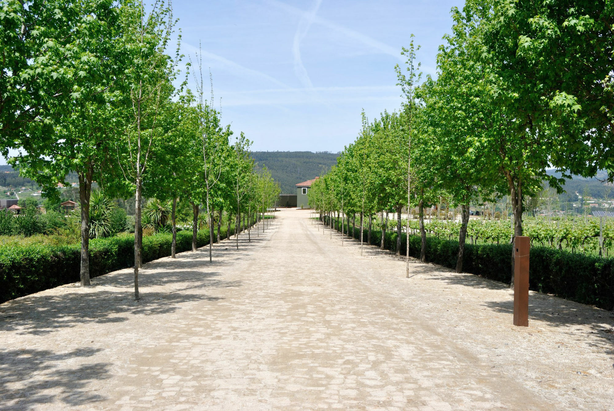 Monverde - Wine Experience - By Unlock 4* Amarante