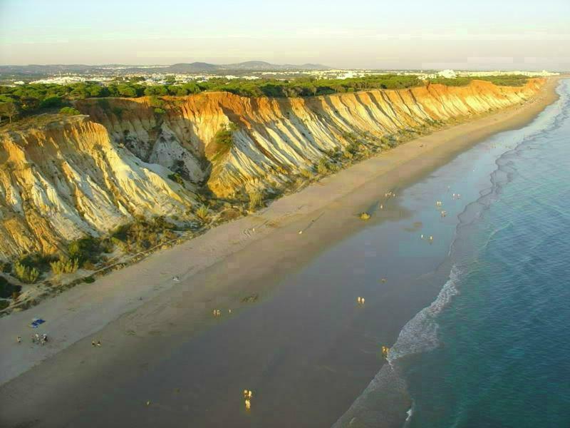 Jazzy Cool Near White Beaches *