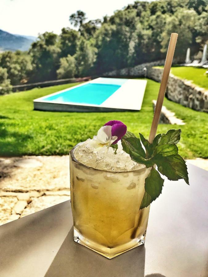 Douro Palace Resort&spa 4* Santa Cruz do Douro