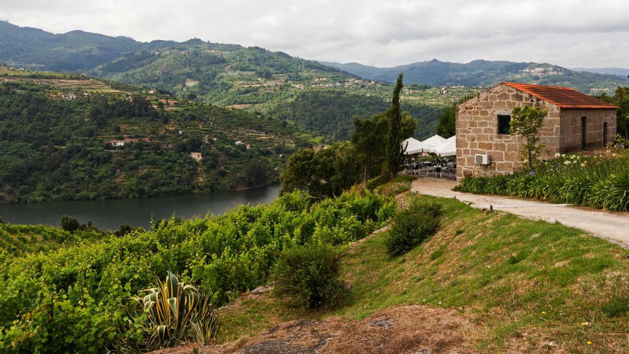 Hotel Douro Palace & 4*