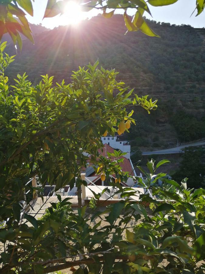 Douro Backpackers Pinhao