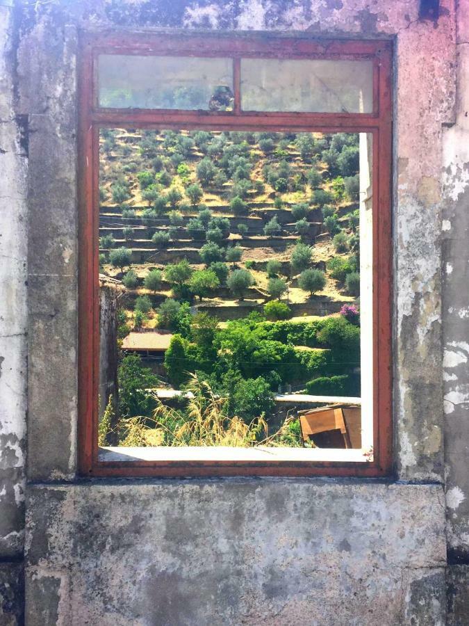 Douro Backpackers Hostel *