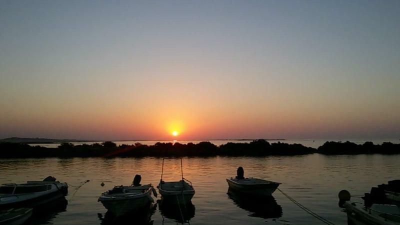 Estudios Salinas - Appartement *