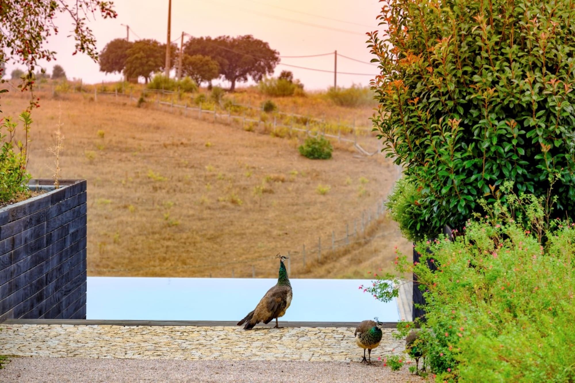 Herdade Da Cortesia