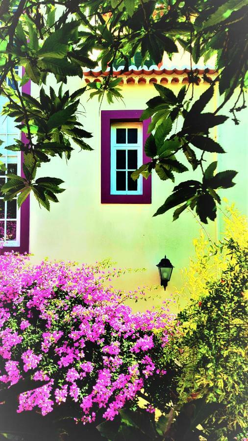 Guest house Quinta Do Cabouco Ribeira Brava