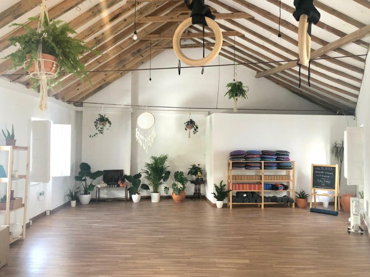 Hostel Olive3
