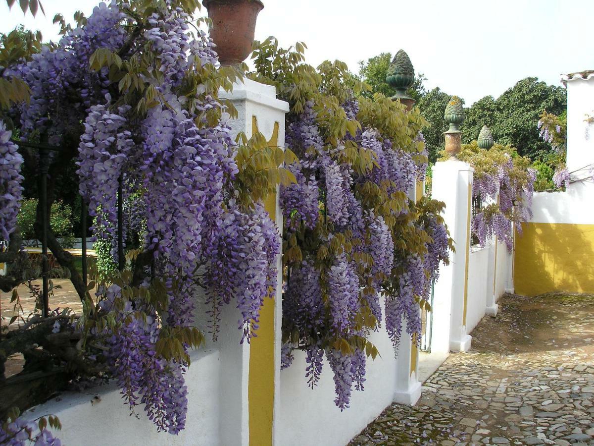 Hotel Rural Quinta De Santo Antonio 4*