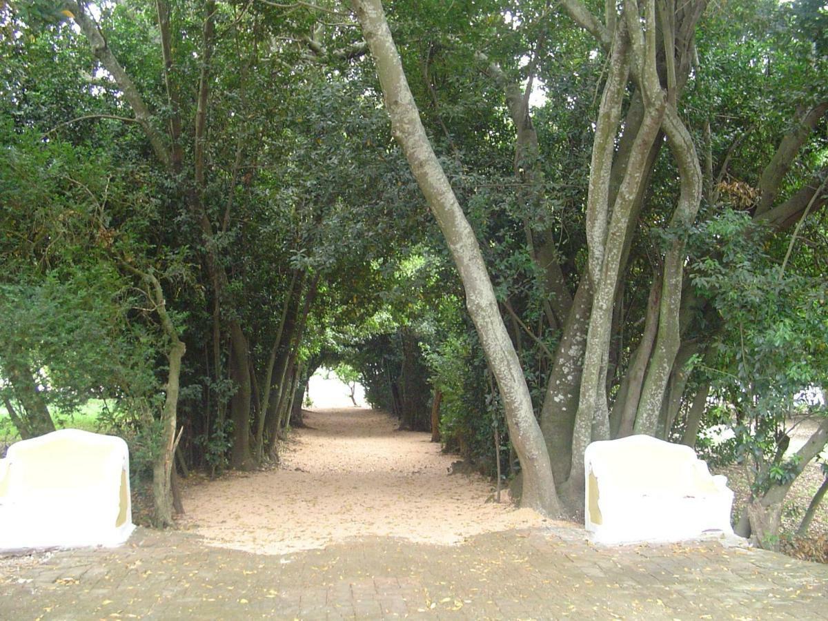 Rural Quinta De Santo Antonio 4* Elvas