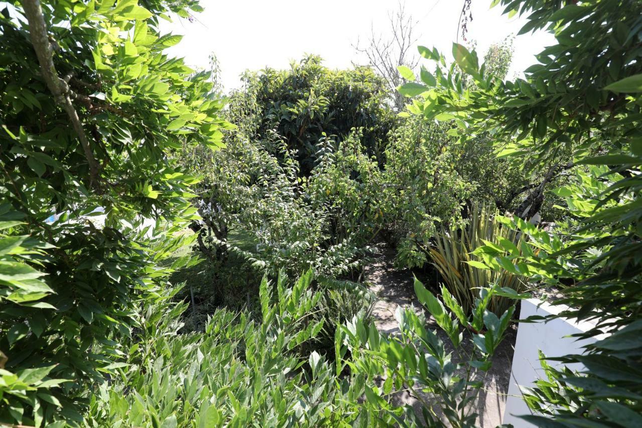 Casa Do Sobral Villa *