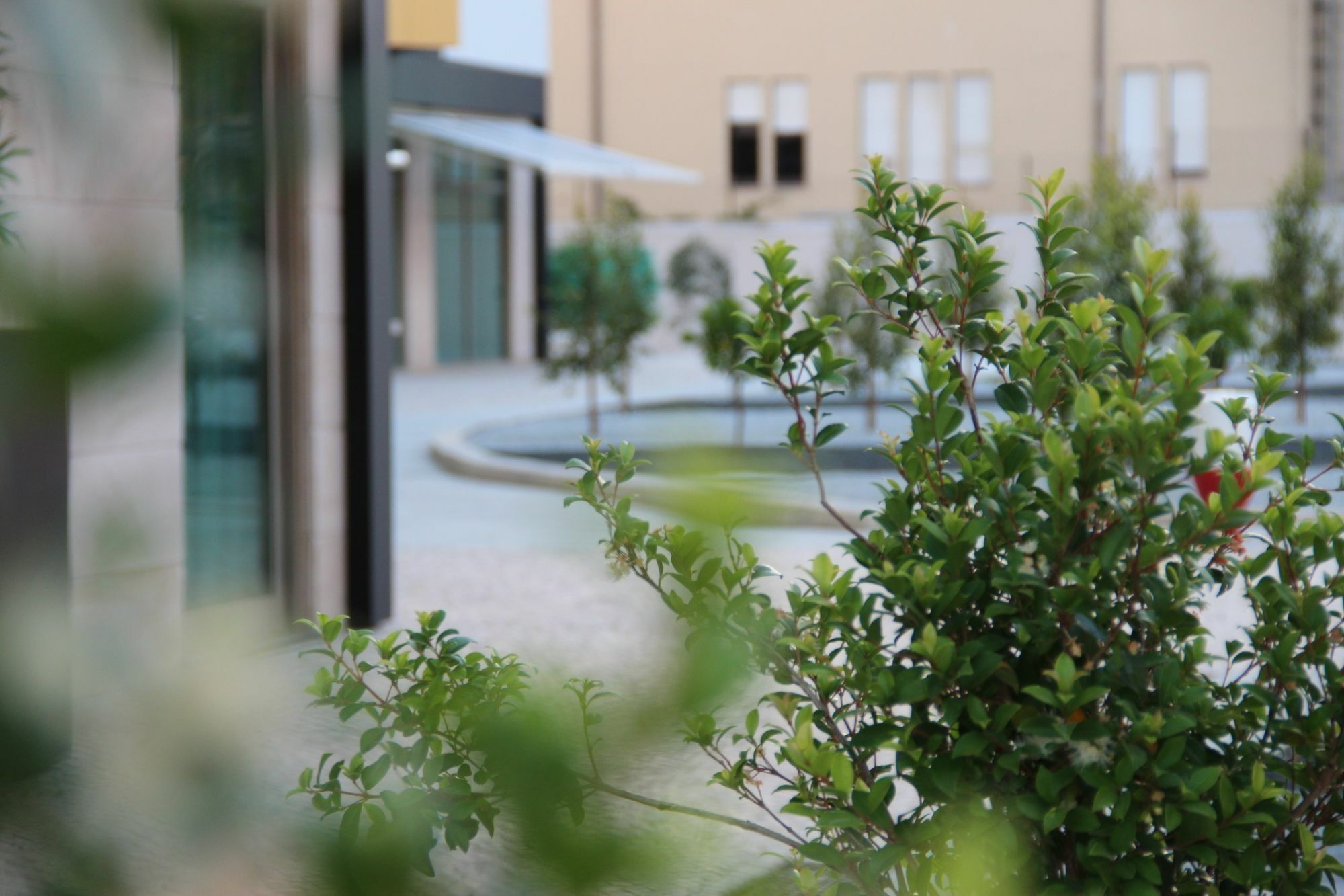 Hotel Aurea Congress & 4*