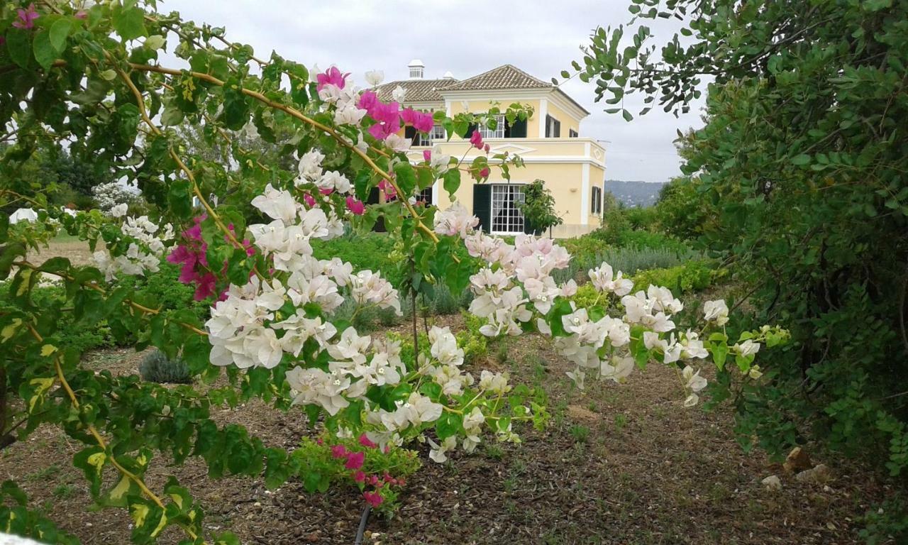Bed & Breakfast Casa Dos Ventos