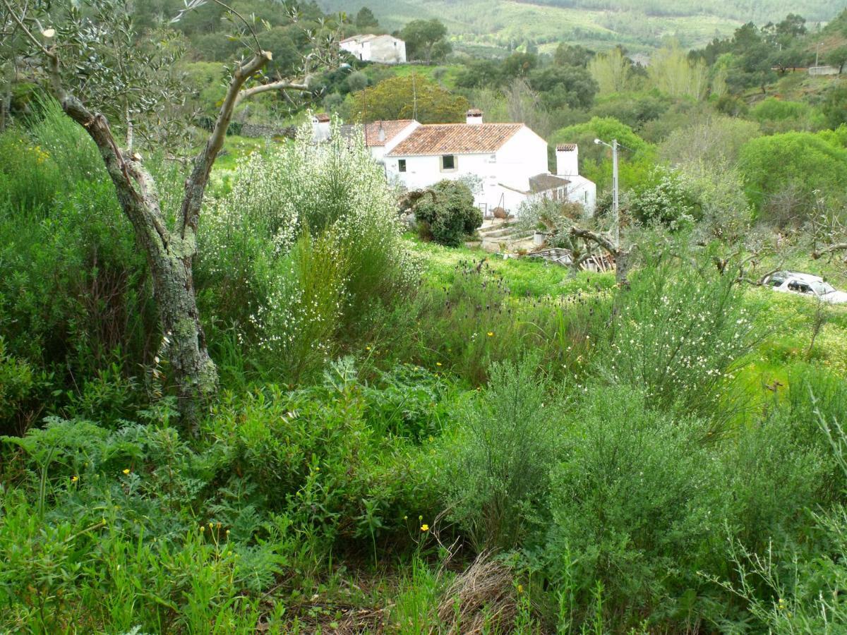 Terrafazbem * Marvao (Portalegre)
