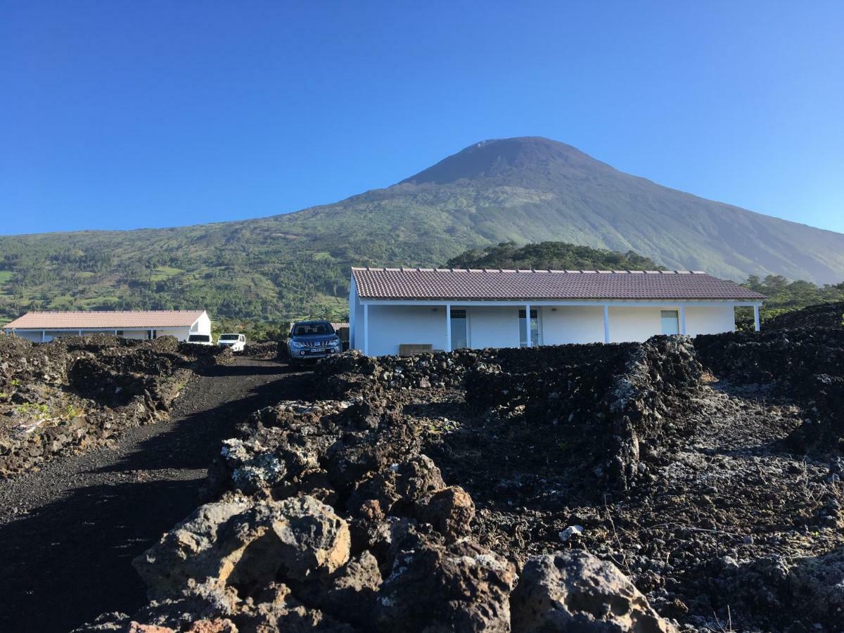 Insula Vinus Apartment Madalena (Azores)