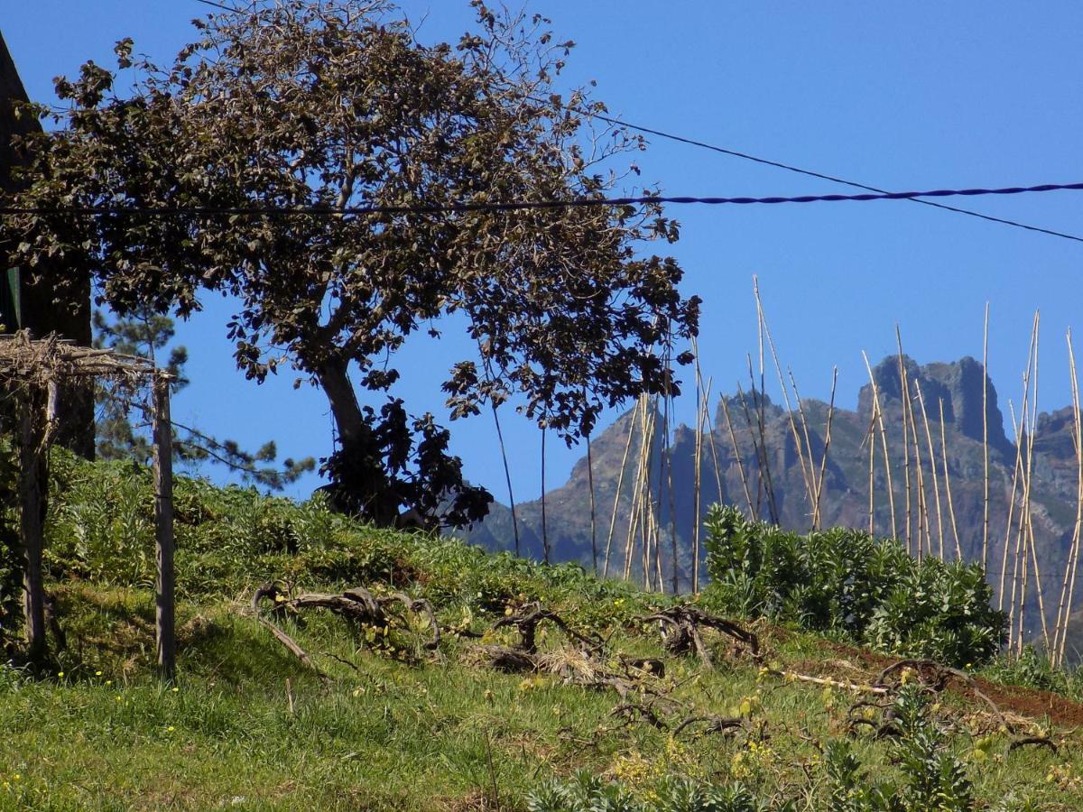 Pereira's House - Mountain & Sea *