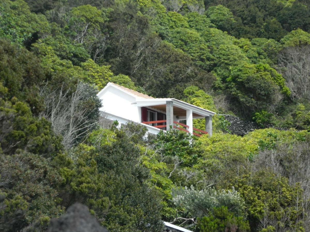 Adega Ninho Da Cagarra Calheta de Nesquim