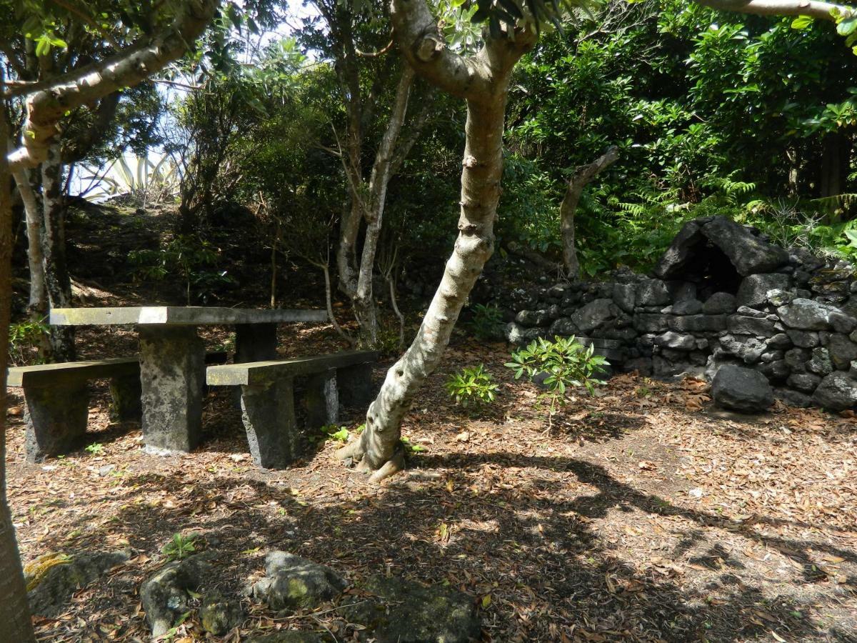 Farm stay Adega Ninho Da Cagarra Calheta de Nesquim