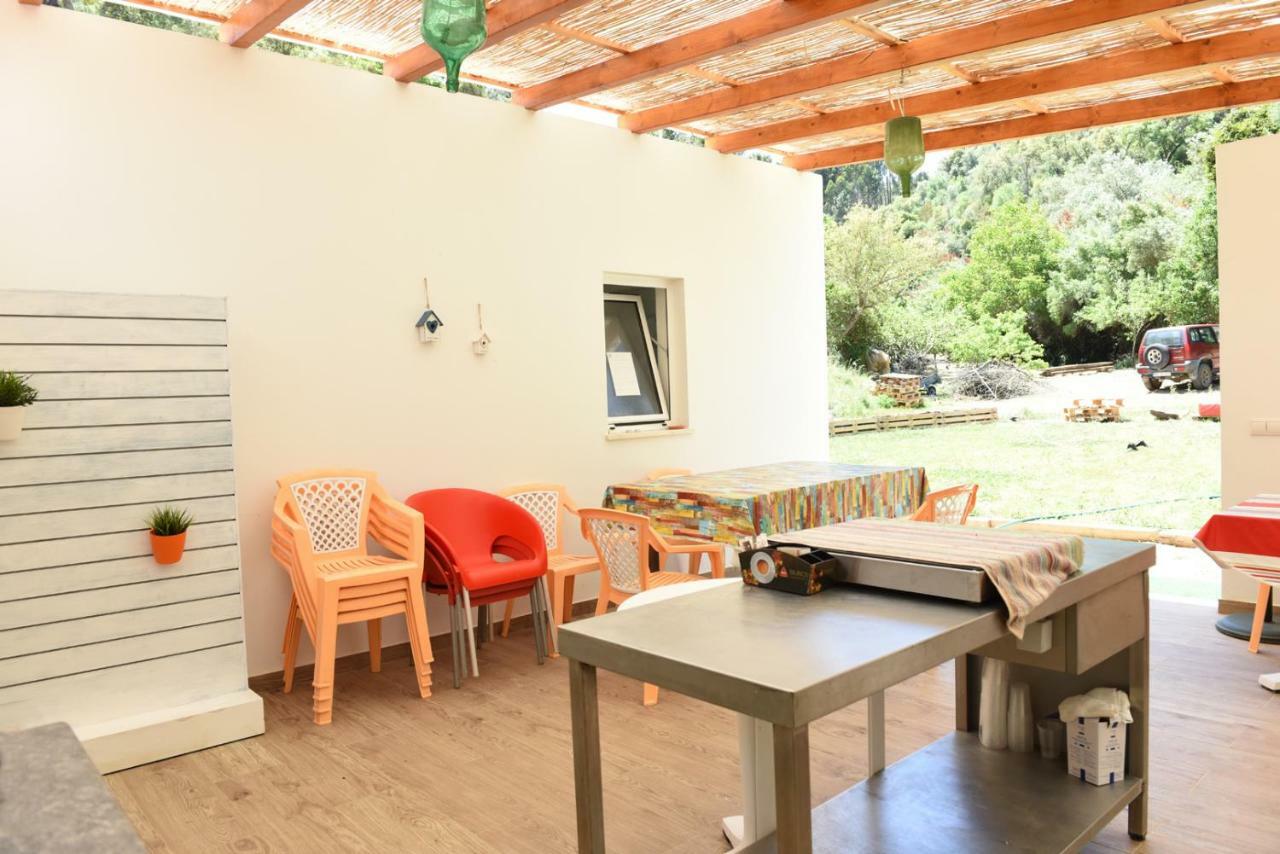 Guest house Horta Do Vale - Nature House