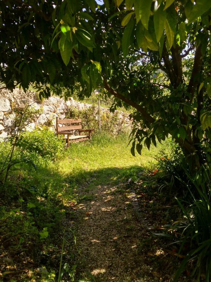 Quinta Algarve Das Relvinhas Country house *