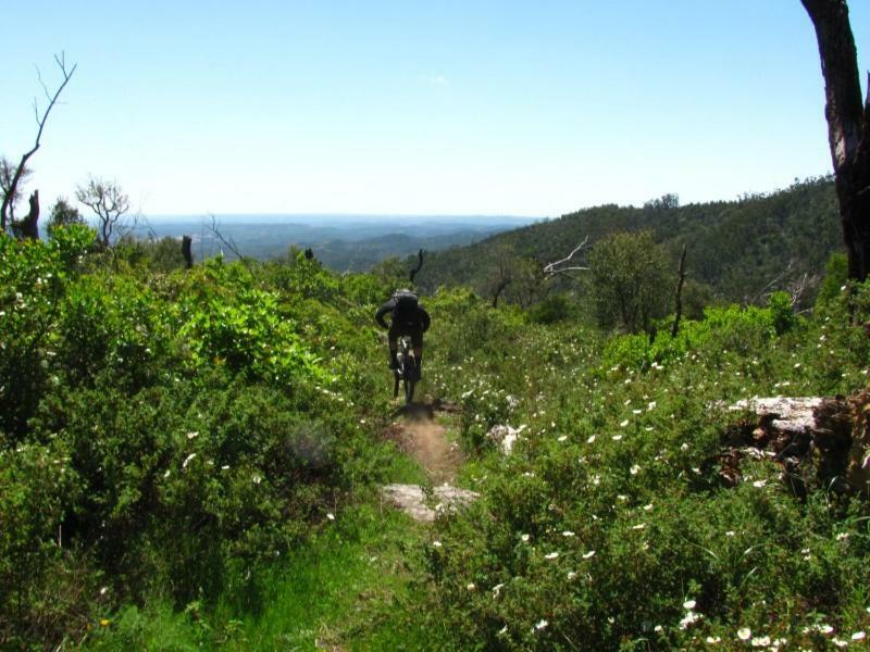 Quinta Algarve Das Relvinhas