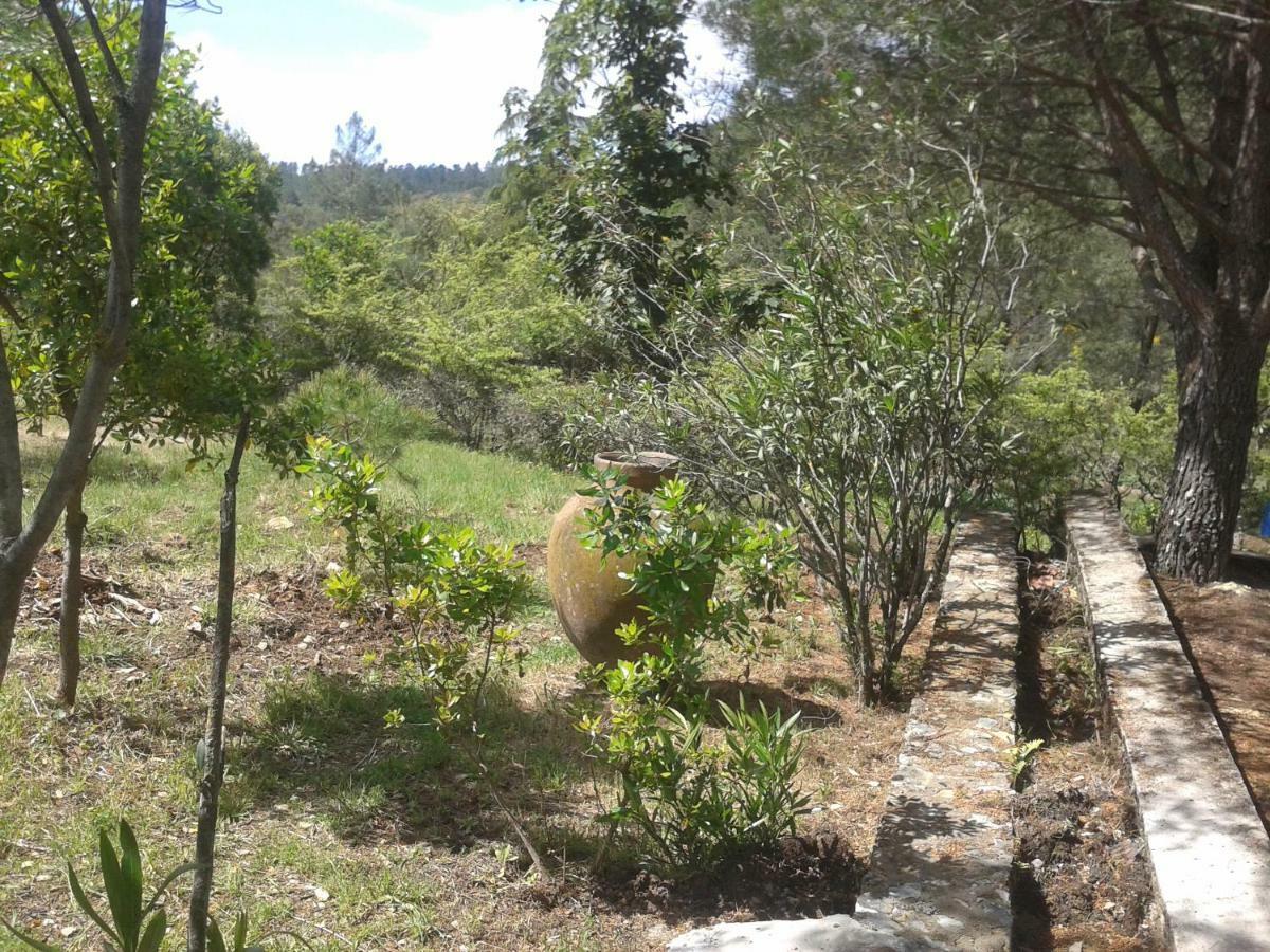 Farm stay Quinta Lameirinhas