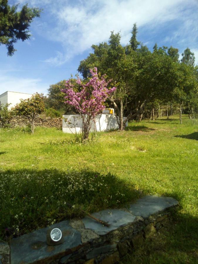Quinta Lameirinhas Marvao (Portalegre)