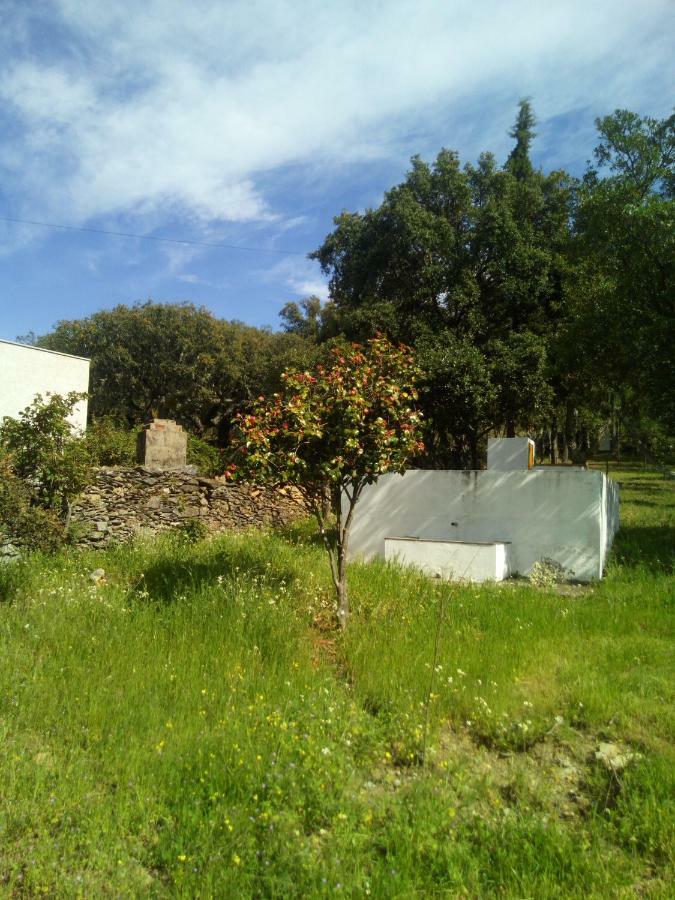 Quinta Lameirinhas * Marvao (Portalegre)