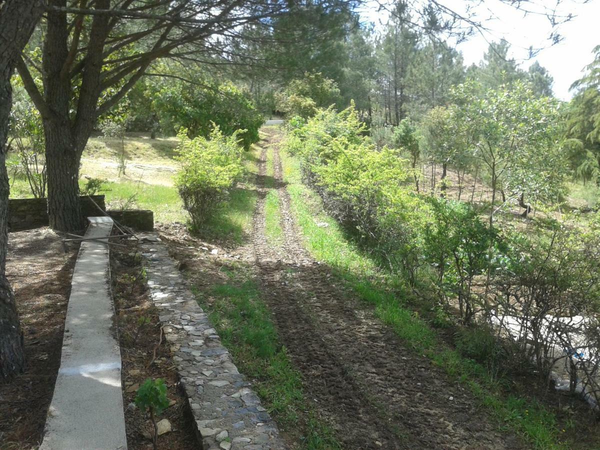 Quinta Lameirinhas * Marvao (Portalegre)