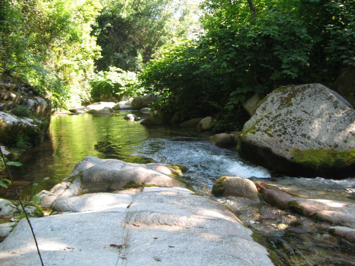 Campismo Rural Vale Dos Moinhos Camping