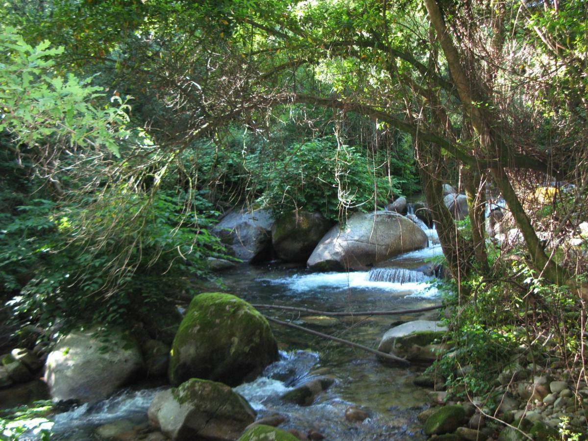 Campismo Rural Vale Dos Moinhos