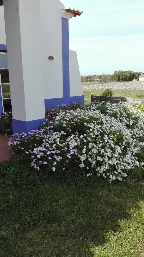 Guest house Monte Sol Ar Do Farol *